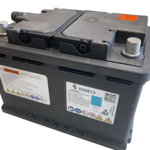 Ferrari Lithium Battery Repair