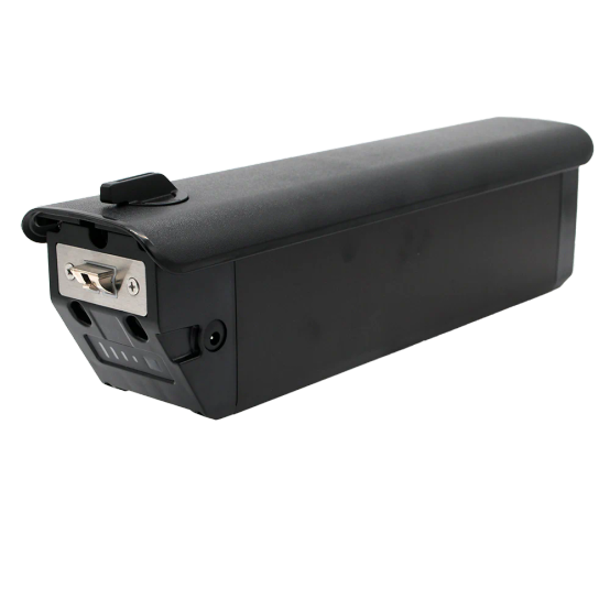 Reention Rhino 36/48/52V | Rebuild Service