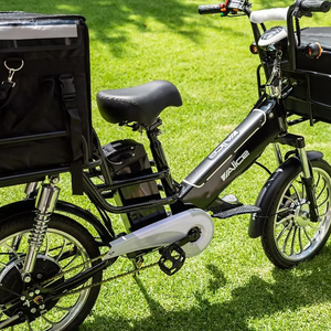 Alice Delivery Ebike