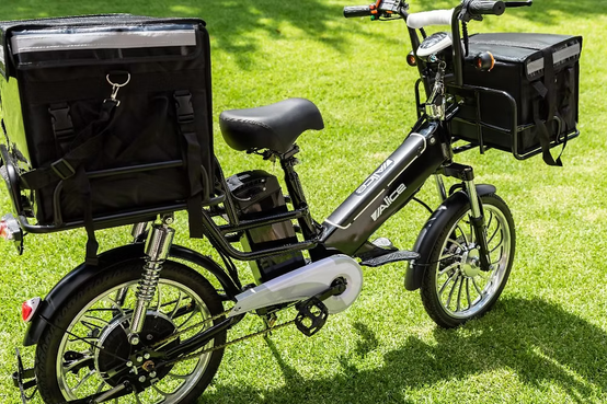 Alice Delivery Ebike