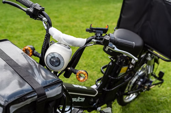Alice Delivery Ebike